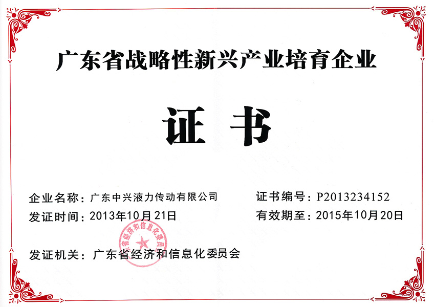 2013年廣東省戰略性新興產業培育企業證書